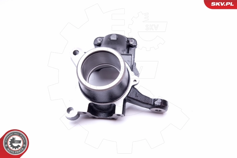Steering Knuckle, wheel suspension